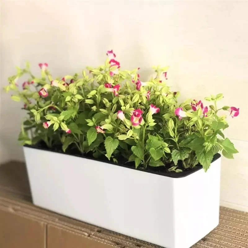 Hydroponic Grow Pod - Rectangula Lazy Flower Pot Potted Hydroponic