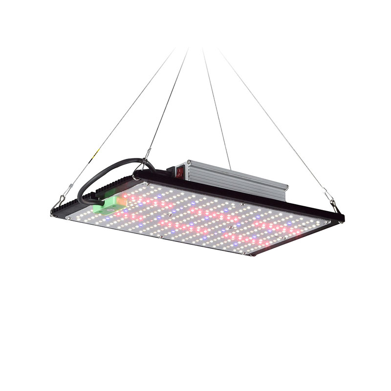 LED Quantum‑Board Grow Light F - Plant Grow Light Full Spectrum 评论和价格