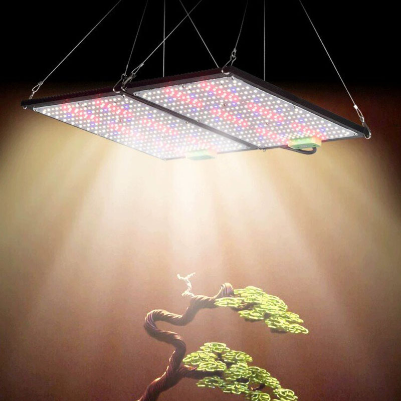 LED Quantum‑Board Grow Light F - Plant Grow Light Full Spectrum 评论和价格