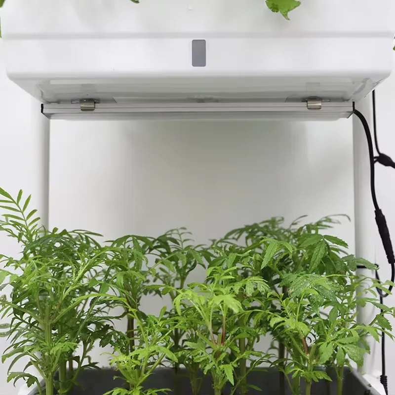 Movable Vertical Grow 3 Level  - Smart Garden System 评论和价格