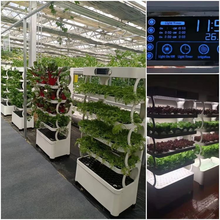 Home Use Vertical Hydroponic T - Hydroponic Tower 评论和价格