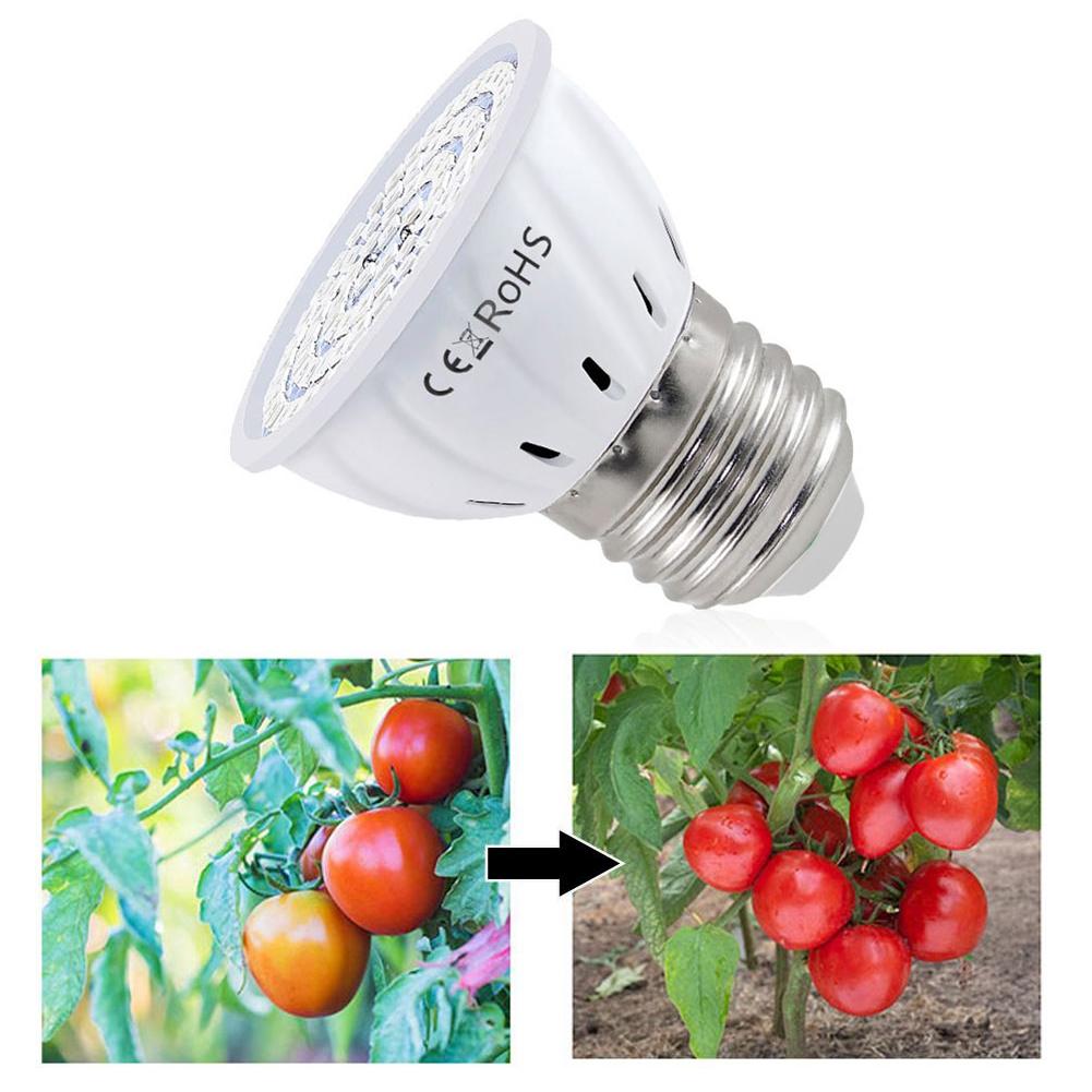 LED Grow Bulb E27 60 80LEDs Fu - Plant Grow Light Full Spectrum 评论和价格