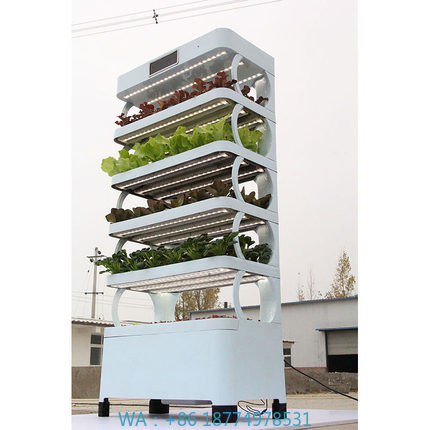 arming Home Hydroponic Growing - Smart Garden System 评论和价格