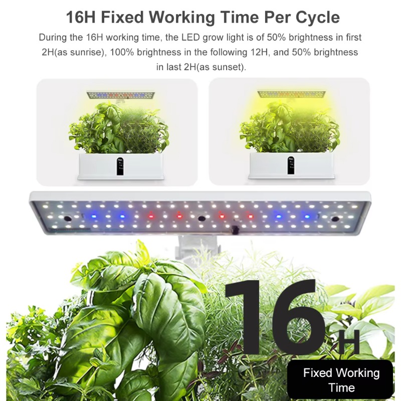 9 Pods Smart Hydroponics Growi - Smart Garden Kit 评论和价格