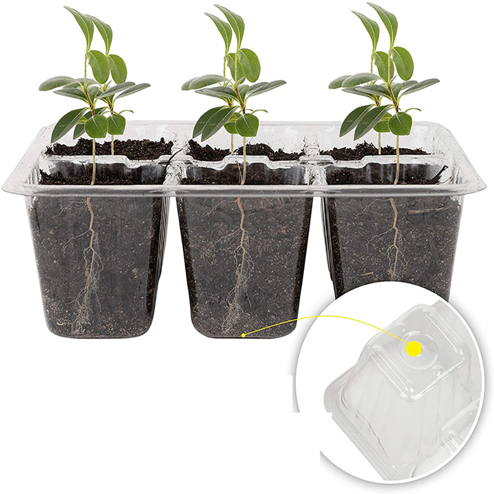 Seed Starter Trays with Grow L - Indoor Garden Kit 评论和价格