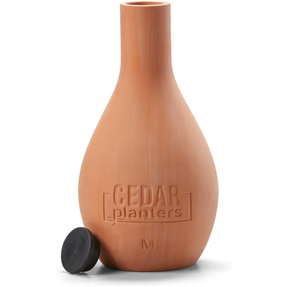 Self-Watering Ceramic Olla Pot - Self Watering Planter 评论和价格