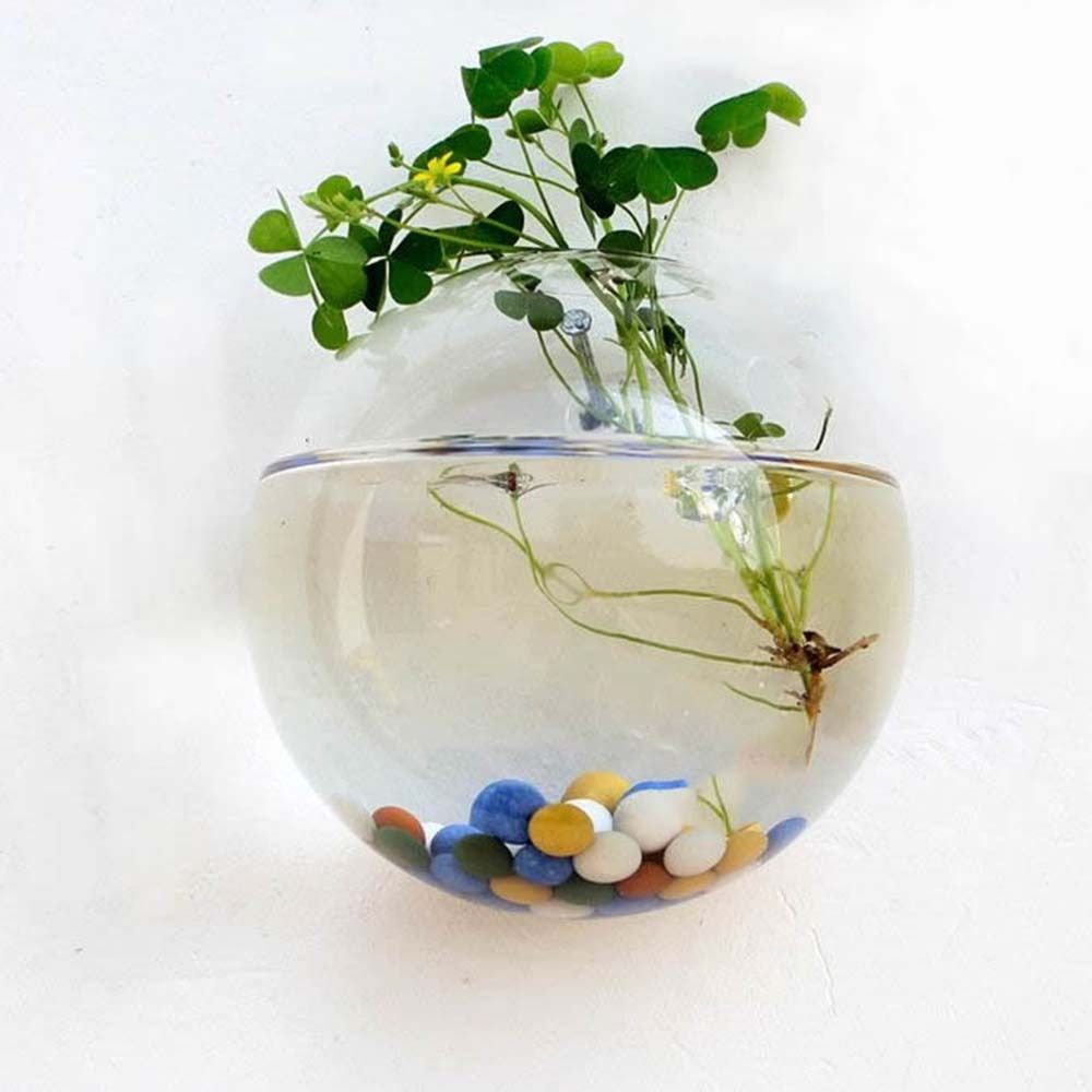 Transparent Glass Vase Wall Ha - Hydroponic Grow Pod 评论和价格