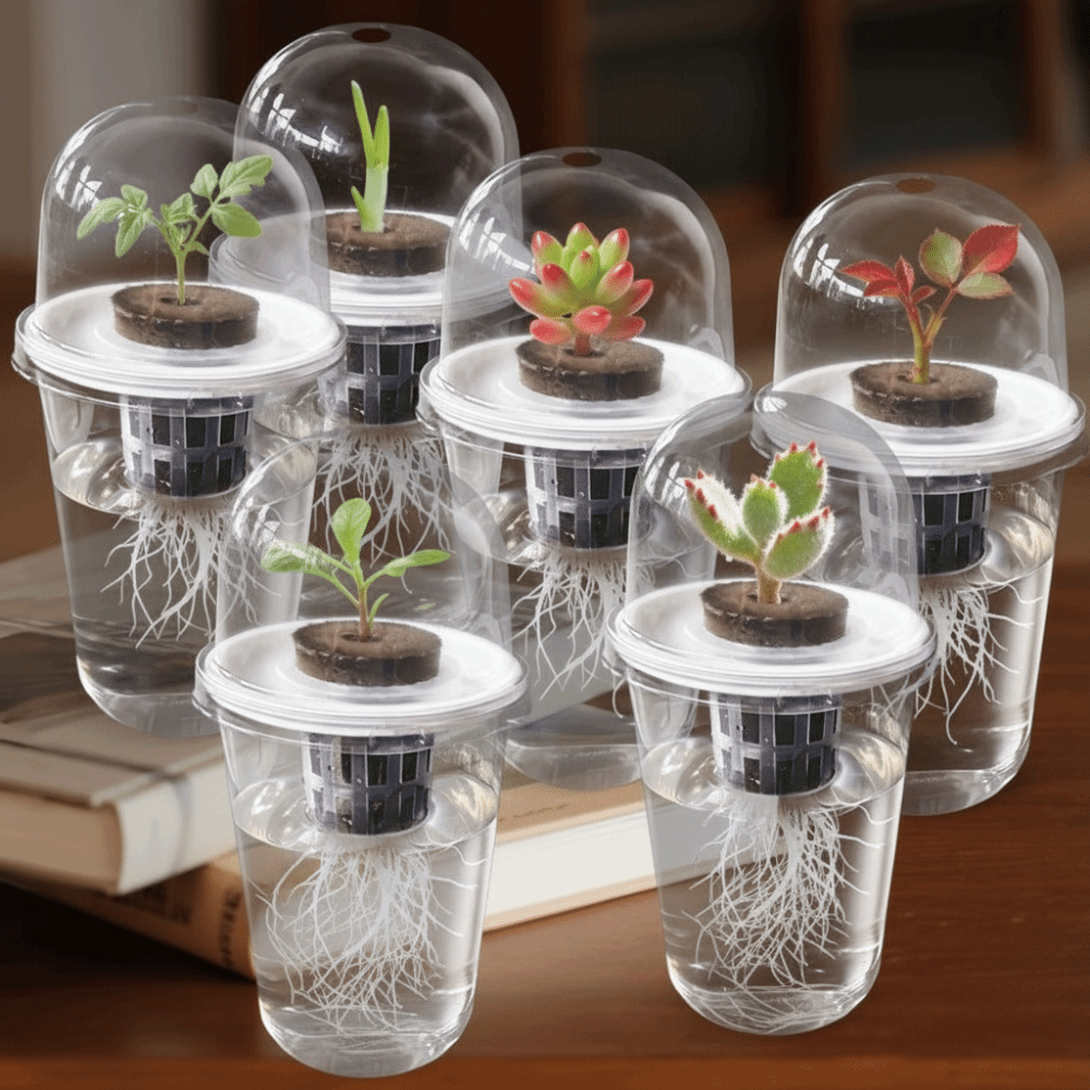 1-5pc Visible Clear Plants Ger - Hydroponic Grow Pod 评论和价格