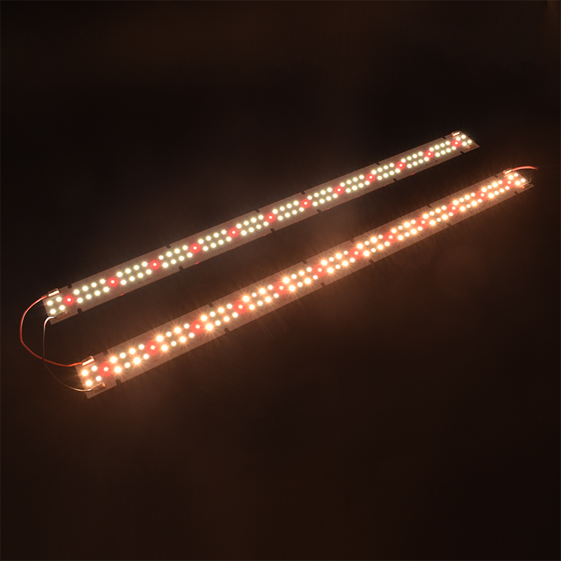 High Quality IP55 Rated COB LE - Plant Grow Light Full Spectrum 评论和价格