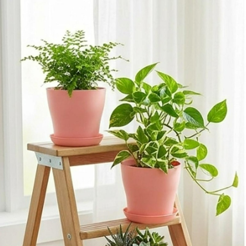 Plant Pot Set with Drainage Ho - Indoor Garden Kit 评论和价格