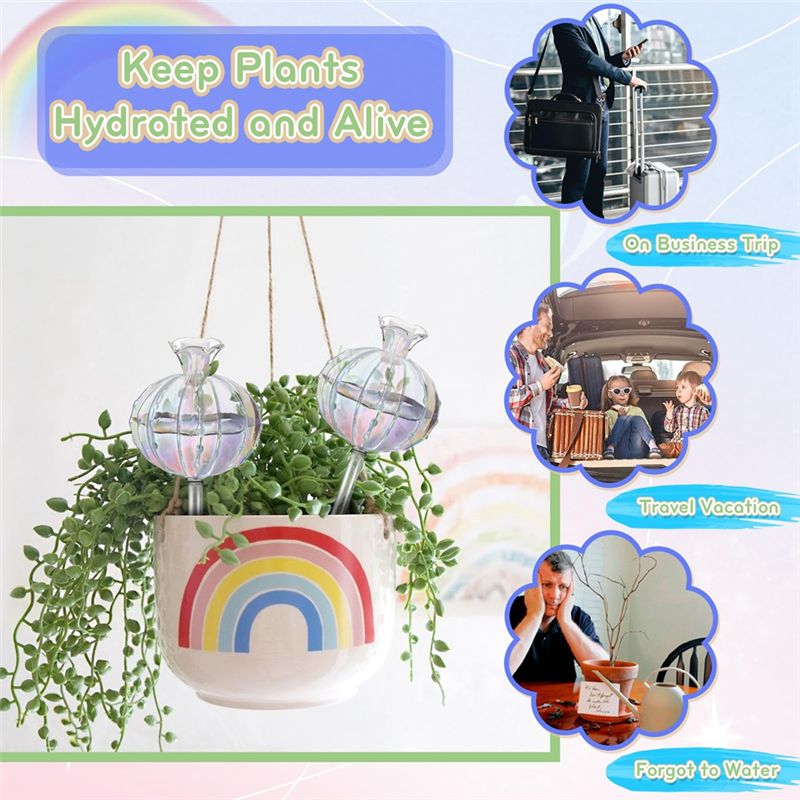 AA94-Plant Watering Bulbs Plan - Self Watering Planter 评论和价格