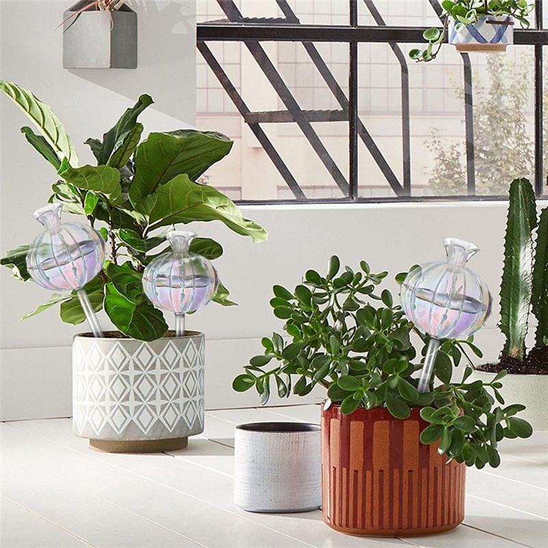 AA94-Plant Watering Bulbs Plan - Self Watering Planter 评论和价格